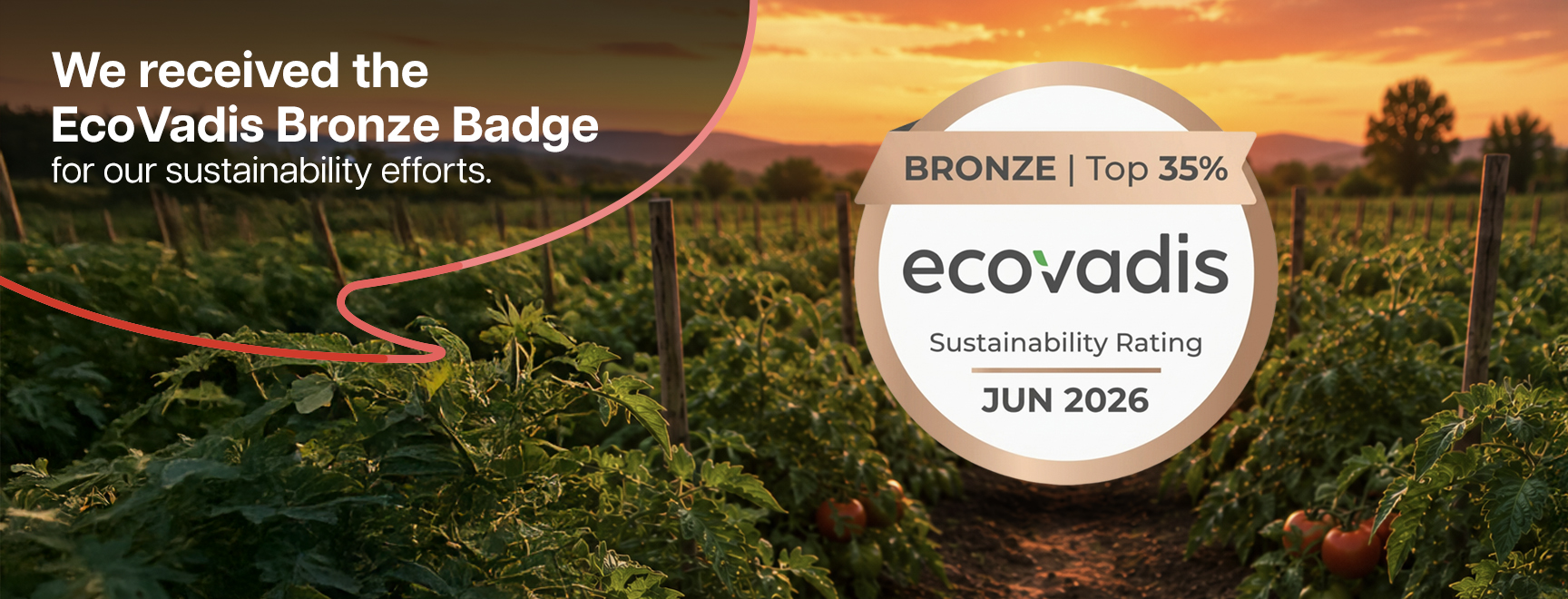 We’re Proud to Receive the EcoVadis Bronze Badge!