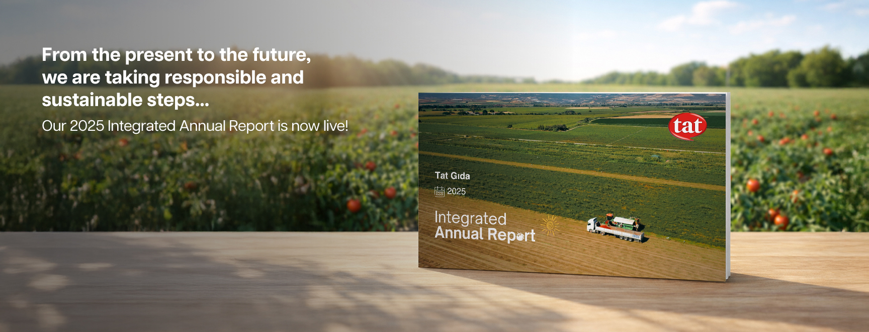 2025 Integrated Annual Report